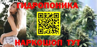 крисы Северобайкальск