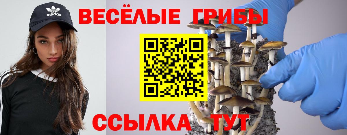 Галлюциногенные грибы Psilocybe  Вход с VPN  Ртищево 