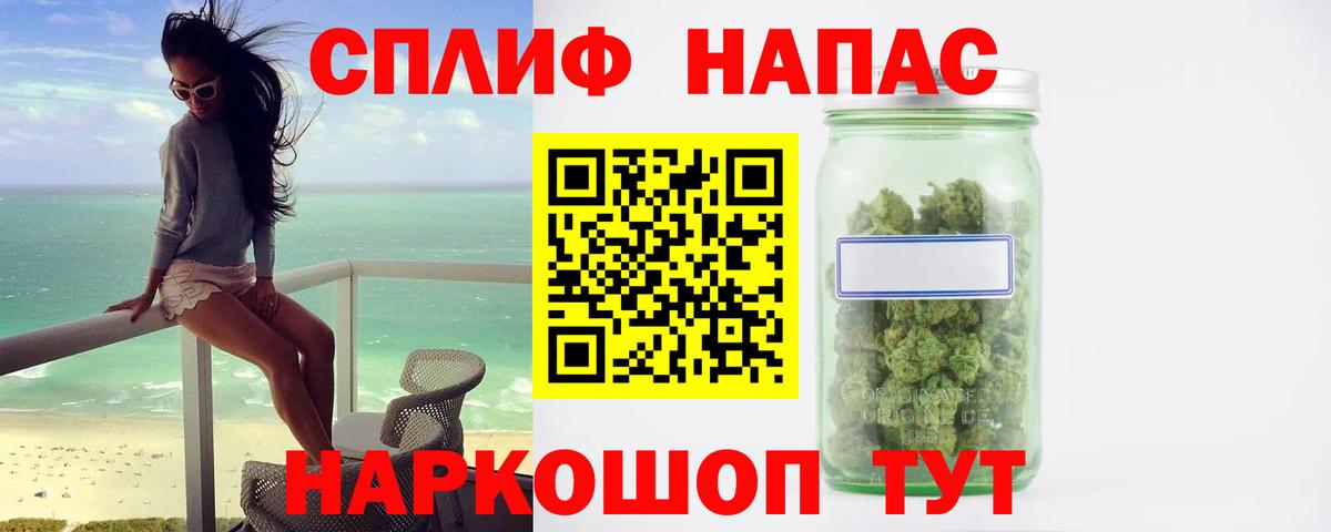 Конопля сатива Ртищево